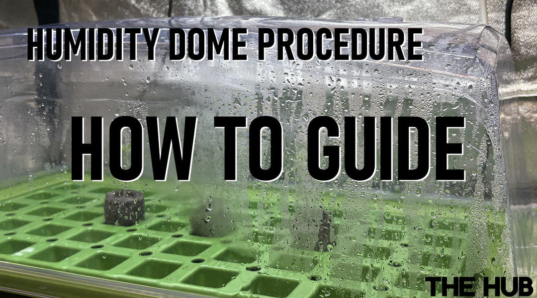 Humidity Dome Procedure