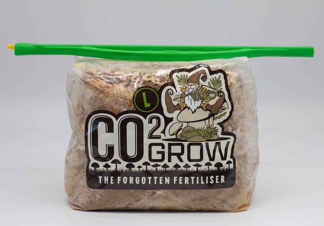 CO2 Grow - Mushroom CO2 Bag Large